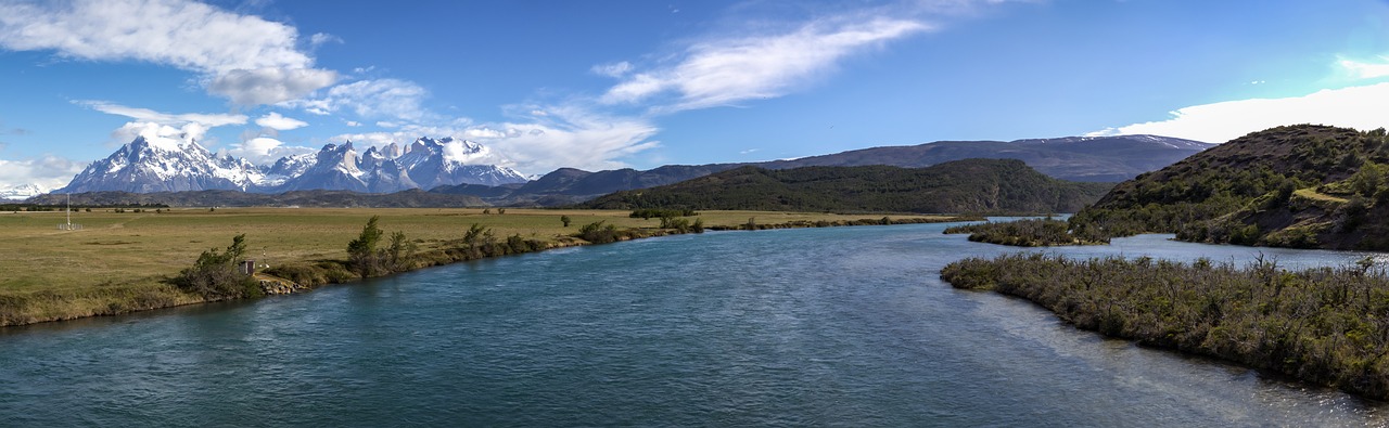 The Best Places to Visit for Wildlife Viewing in South America